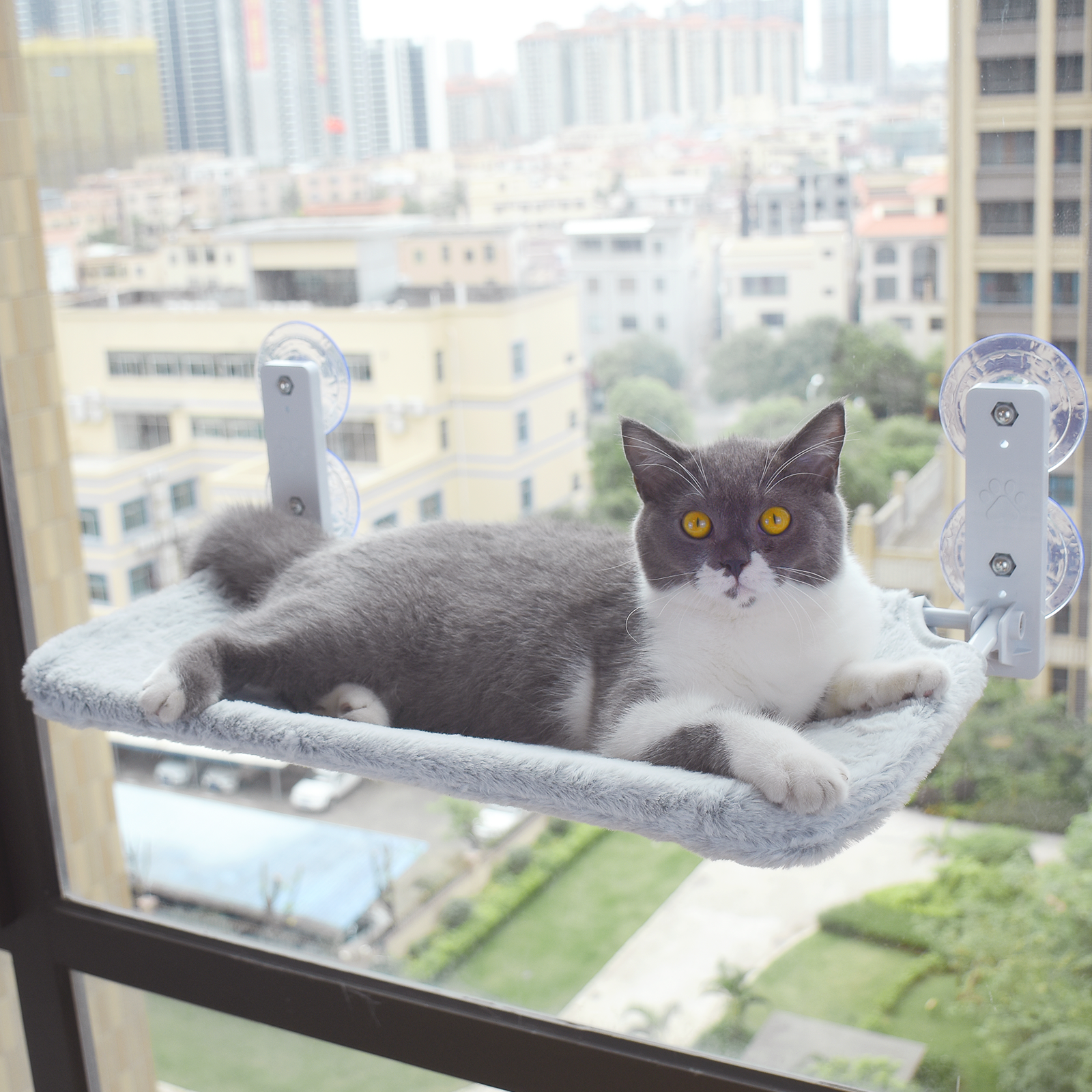 猫用吸盤式ハンモック ペット 洗濯可能 折りたたんで収納可能 – ABCDs